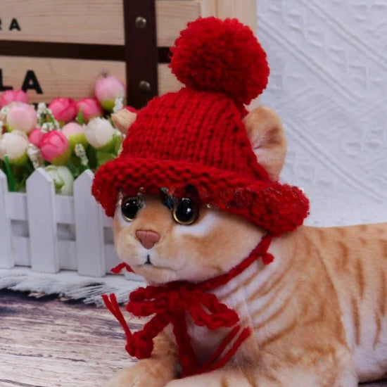 Stylish Dog Hat