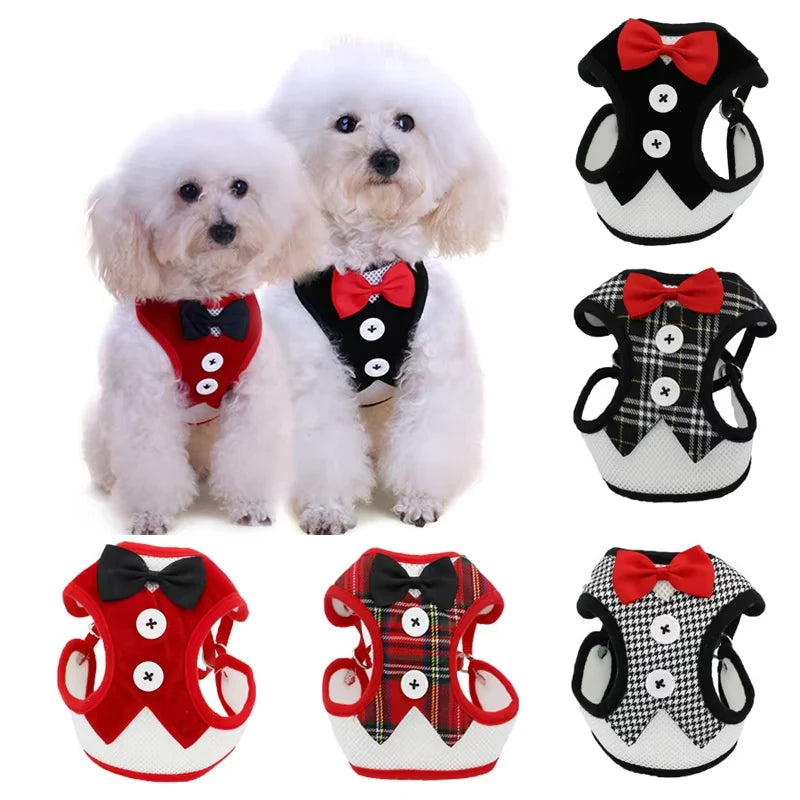 Elegant Bowtie Dog Harness Vest with Leash
