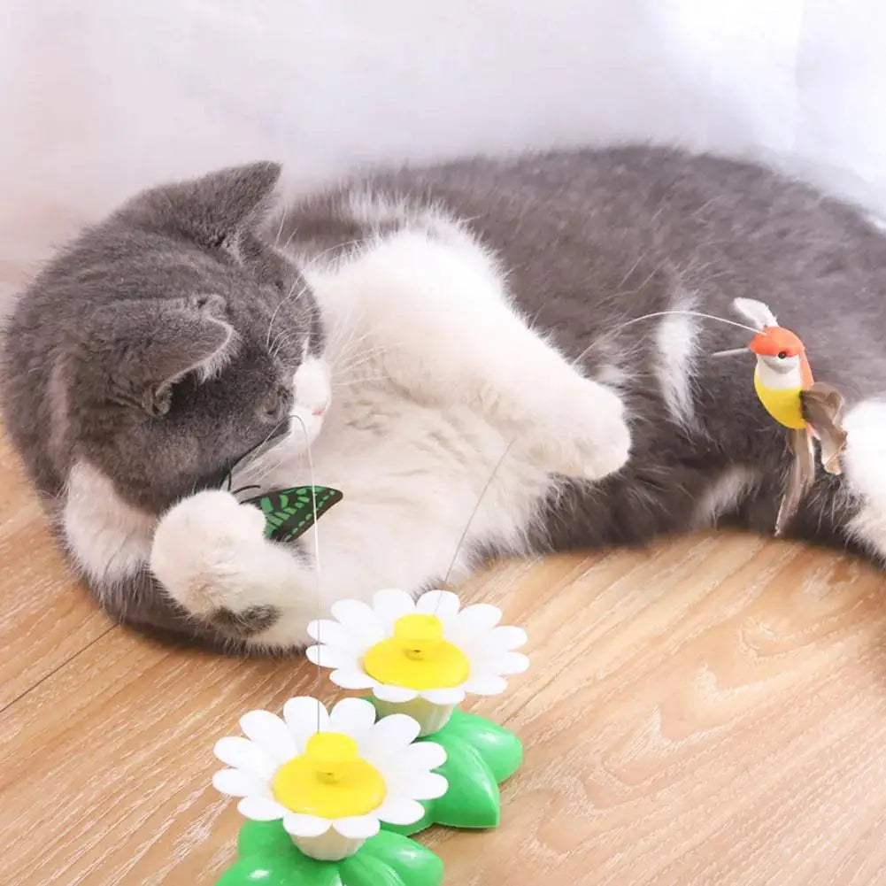 Electric Butterfly or Humming Bird Cat Toy