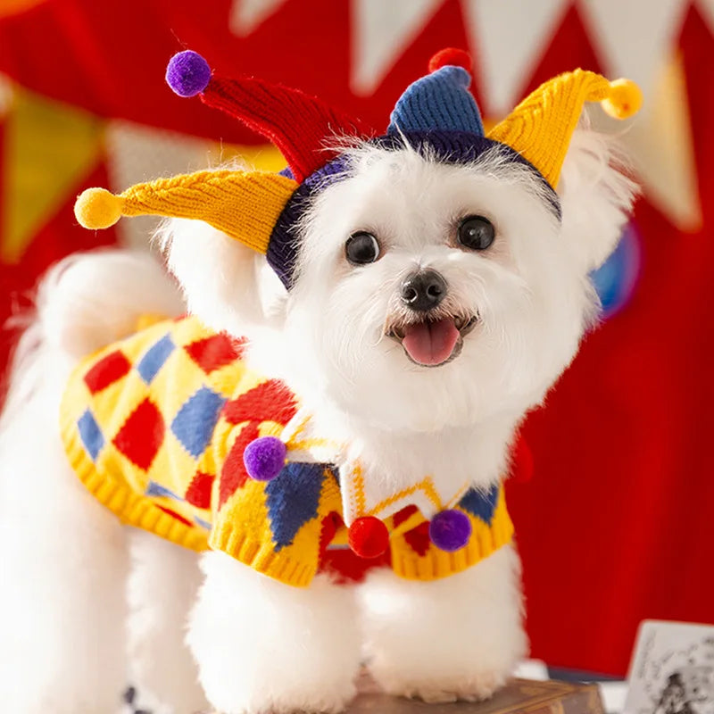 Cute Pet Dog Sweater