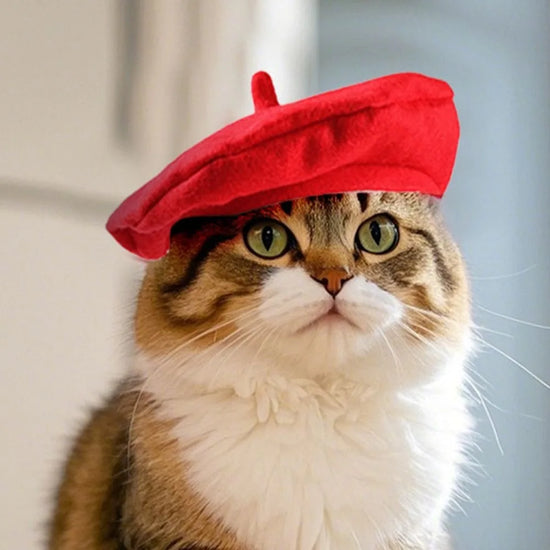 Pet Accessories Cute Cat Beret Hat