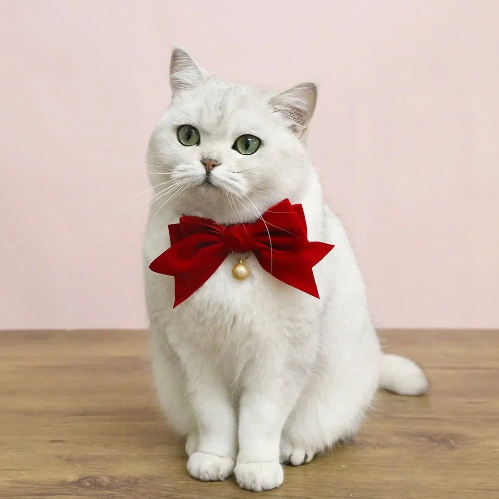 Ribbon Bowtie Collar