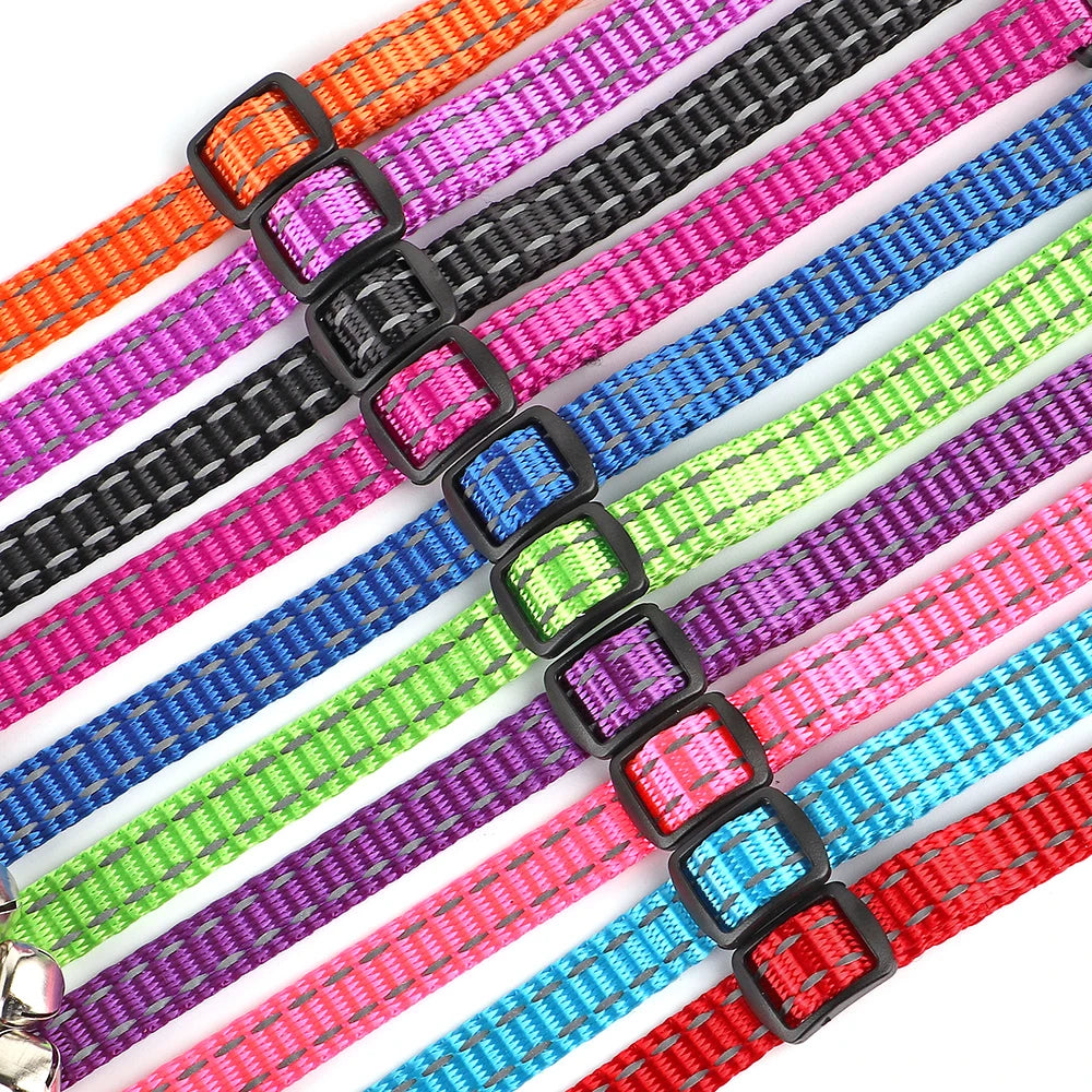 Custom Cat Collar Nylon Puppy Kitten Collars