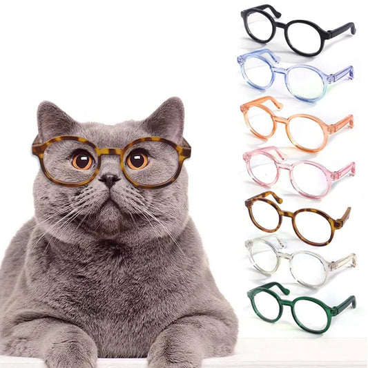 Pet Accessories Cat Glasses