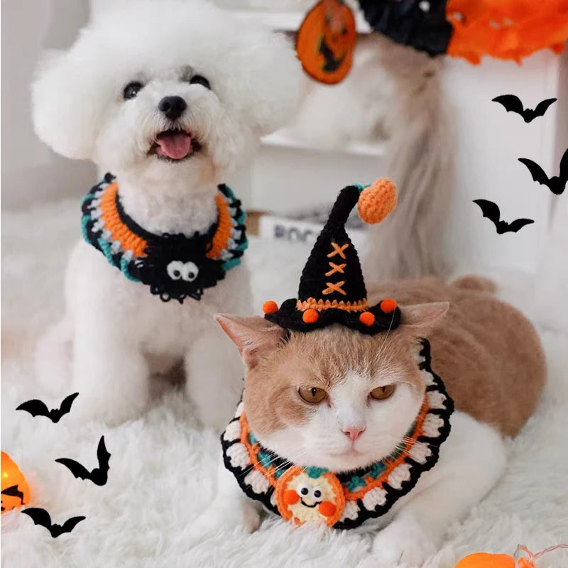 Halloween Dog & Cat Collar