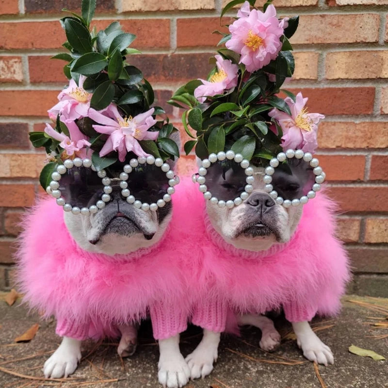 Pet Colorful Sweater