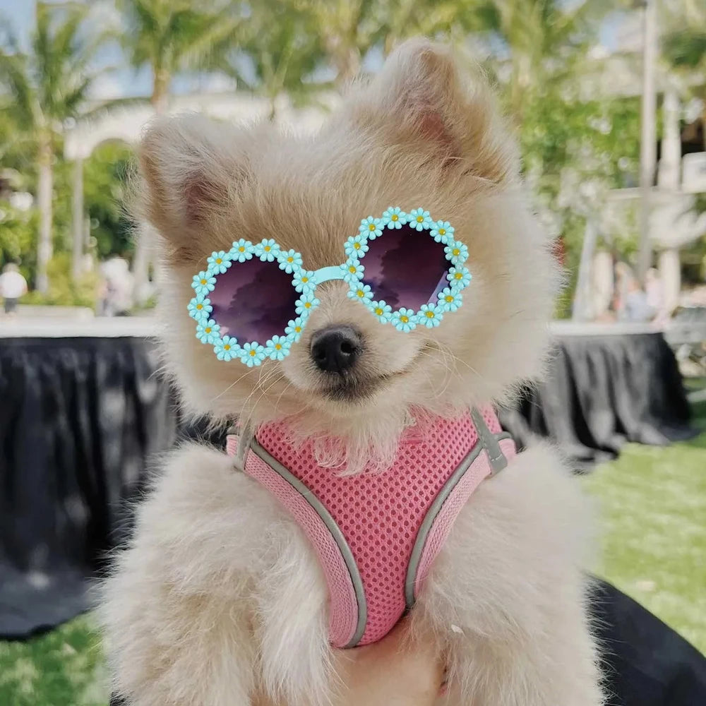 Pet Accessories Flower Sunglasses