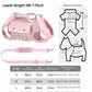 Stylish Dog Horizontal Backpack with Leash Handle