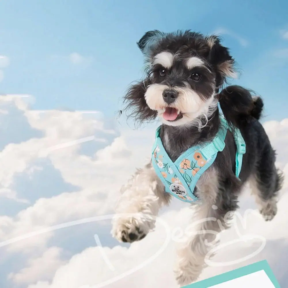 Adjustable X Shaped Dog Harness