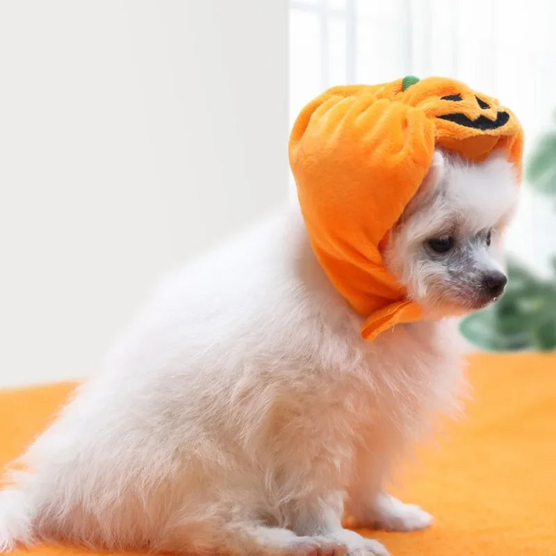 Cute Pet Pumpkin Hat