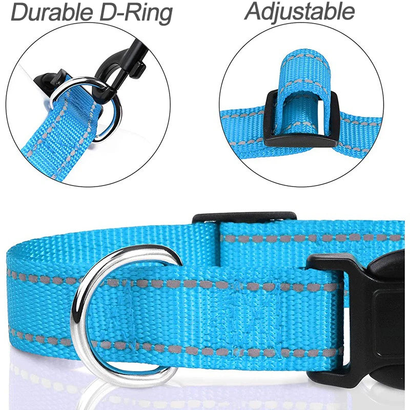 Choke Dog Collar