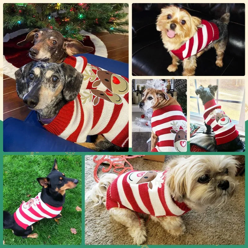 Dog Sweater Christmas