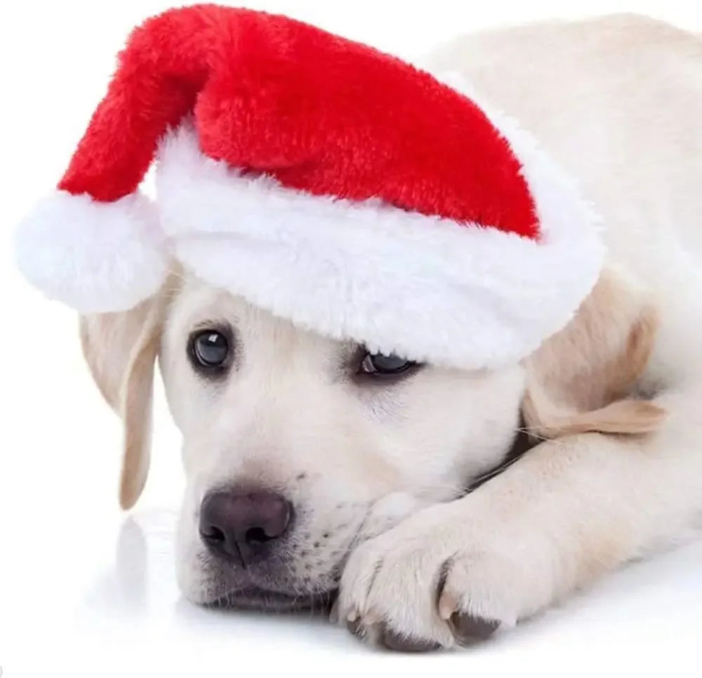 Deluxe Plush Christmas Pet Santa Hat