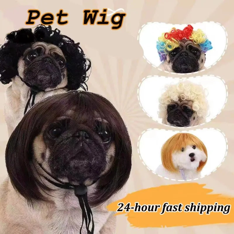 Pet Wig Dog And Cat