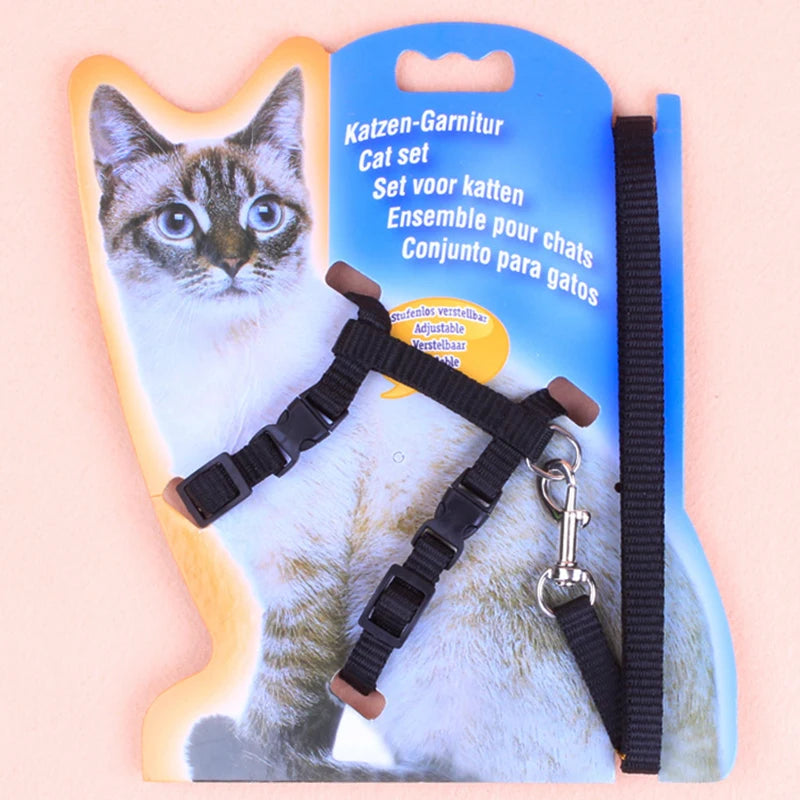 Cat and dog leash I-shaped