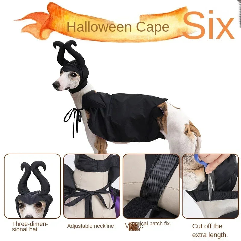 Halloween Witch-Shaped Costume