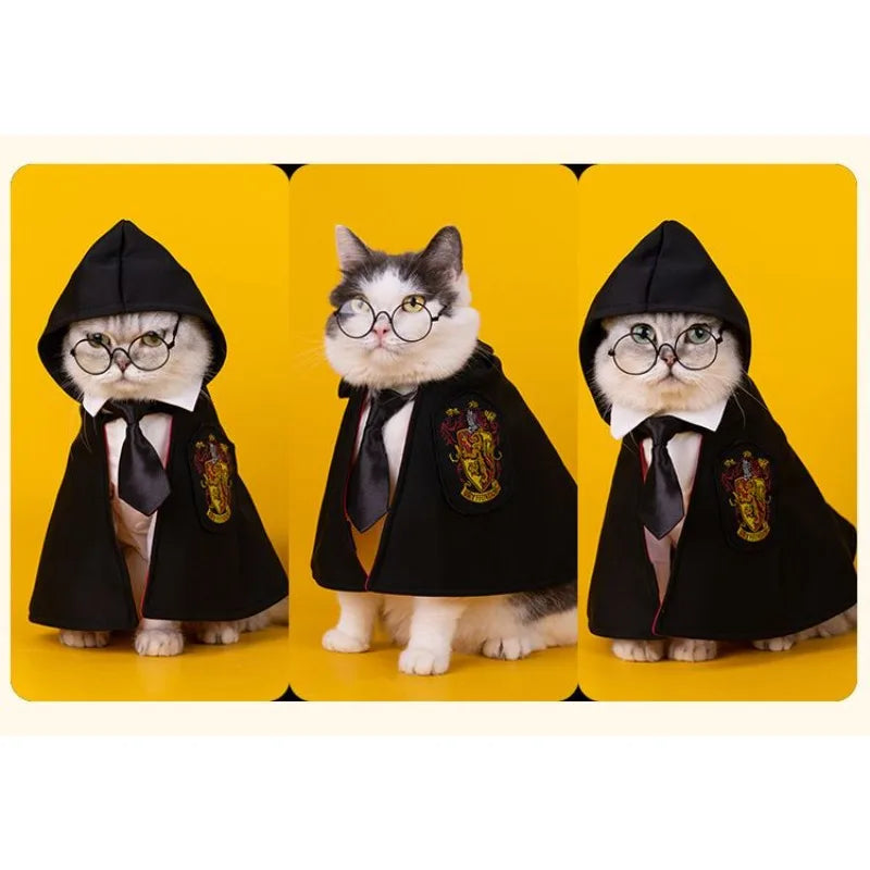 Halloween Dog Costume