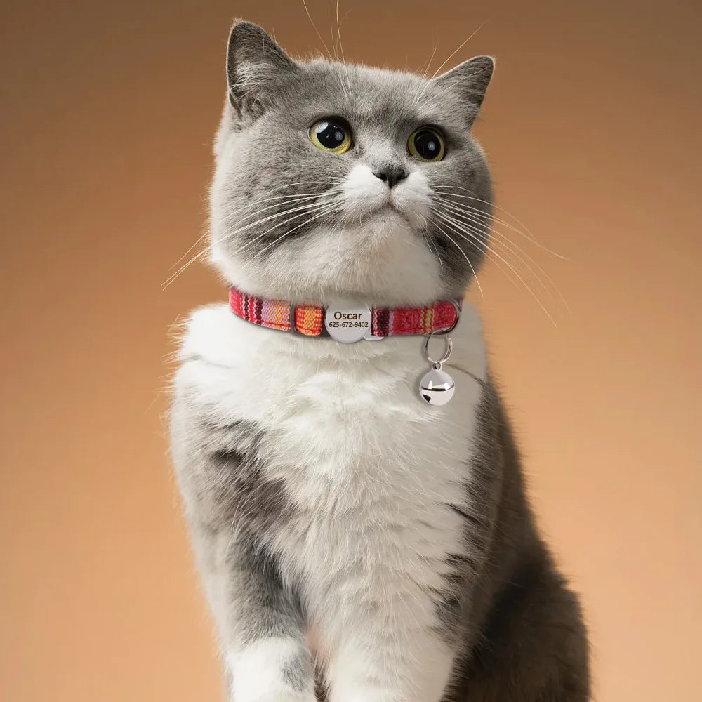 Personalized Nylon Cat Collar