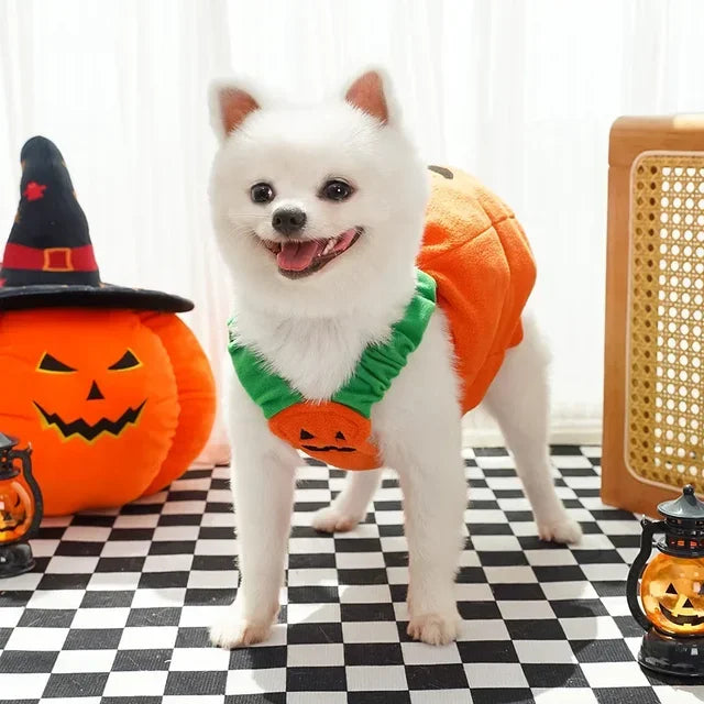Halloween Pumpkin Vest For Dogs Cats