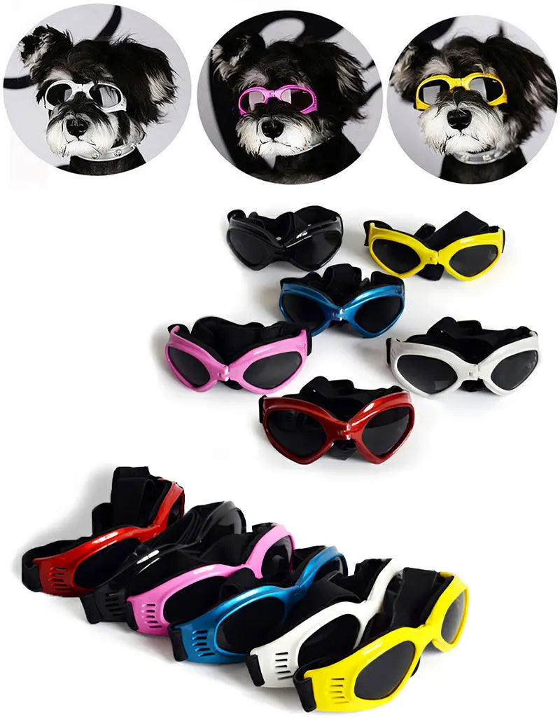 Foldable Pet Glasses