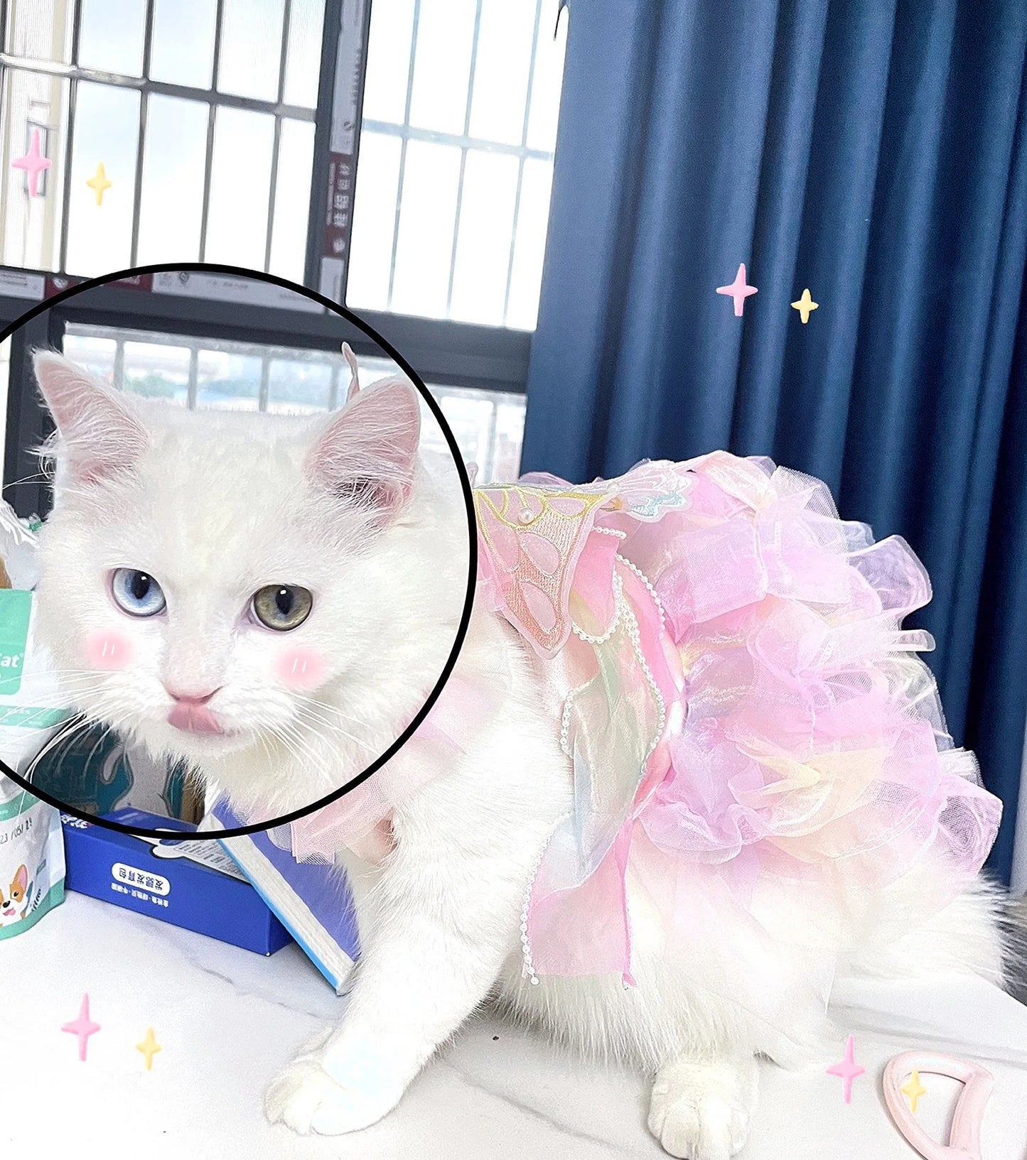 Cat Dog Princess Dress Clothes