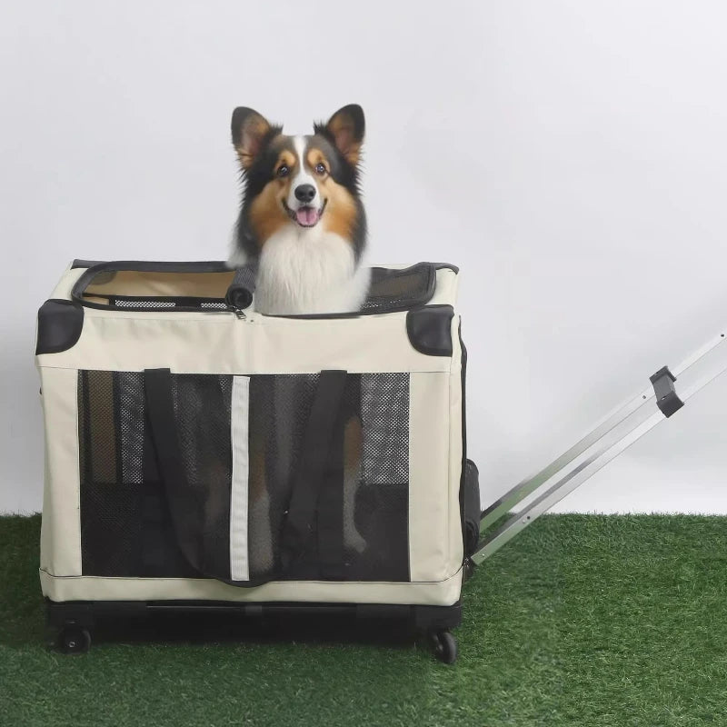 Two Compartments Cat Carrier