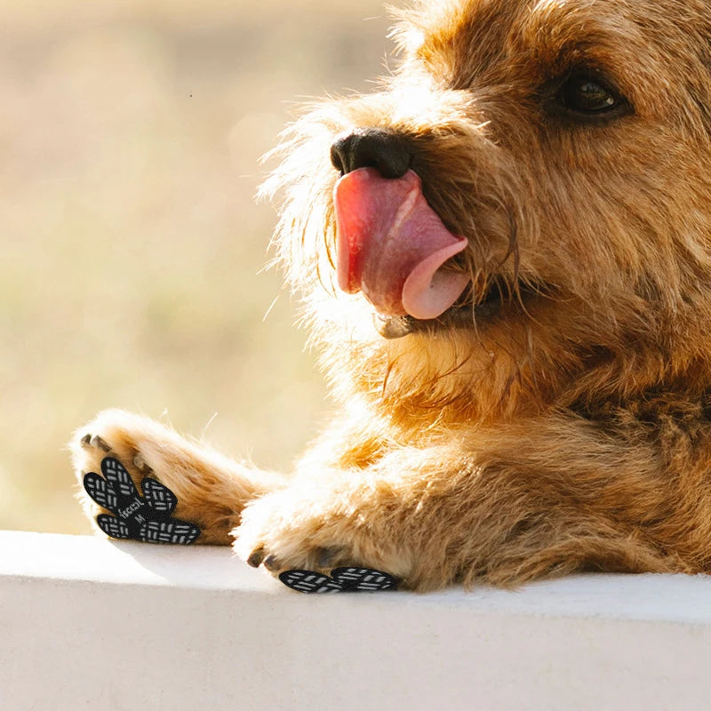 4-Pack Dog Anti Slip Paw Grips