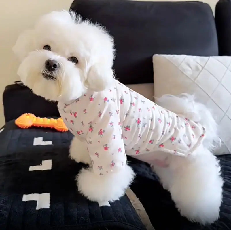 Pet Dog Thick Flower Down Jacket