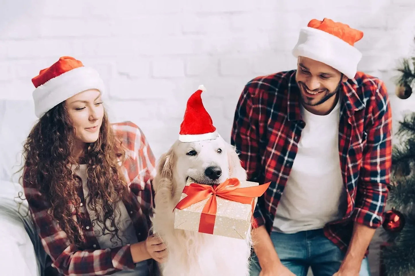 Deluxe Plush Christmas Pet Santa Hat