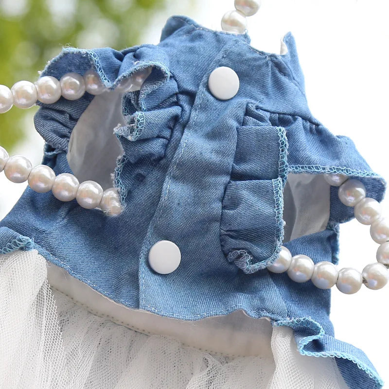Denim Sphynx Cat Princess Dress
