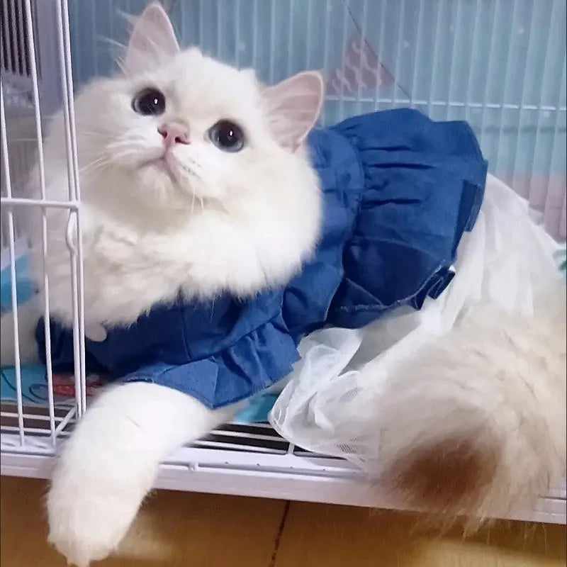 Denim Sphynx Cat Princess Dress