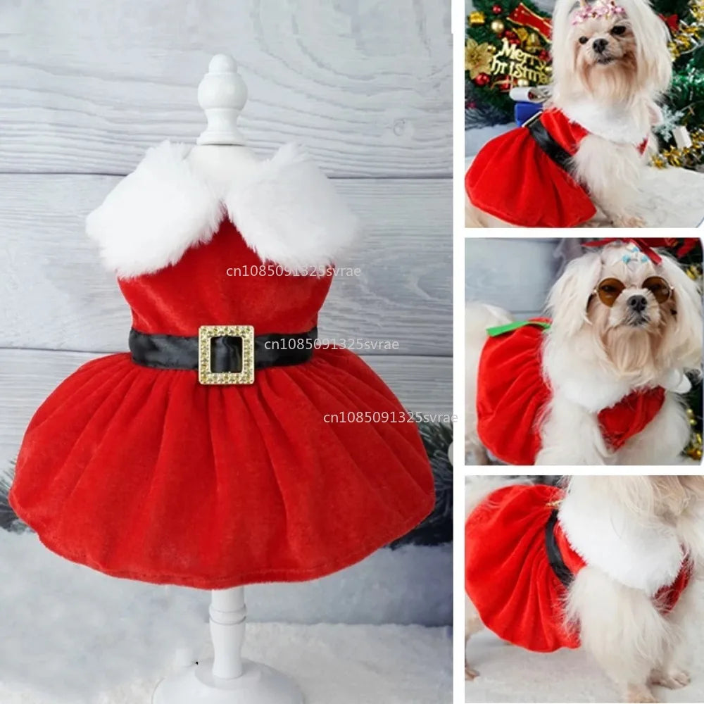 Christmas Dog Dresses