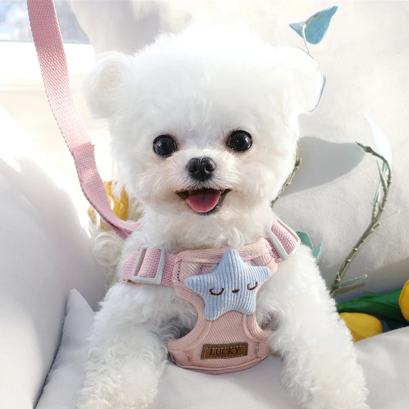 Dog Harness for Small Medium Dog