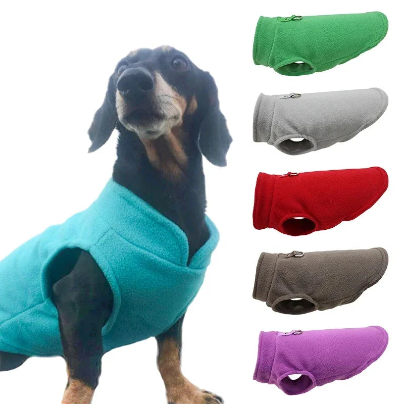 Pet Dog Jacket Vest With D-Ring