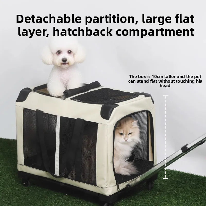 Two Compartments Cat Carrier