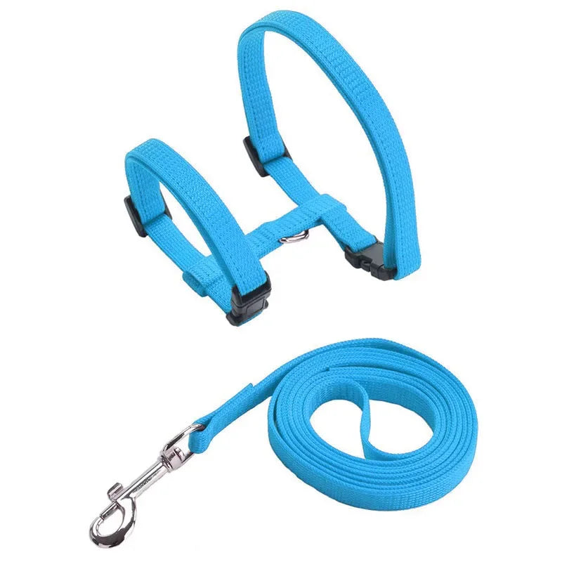 Escape-proof Small Dog Cat Harness Collar