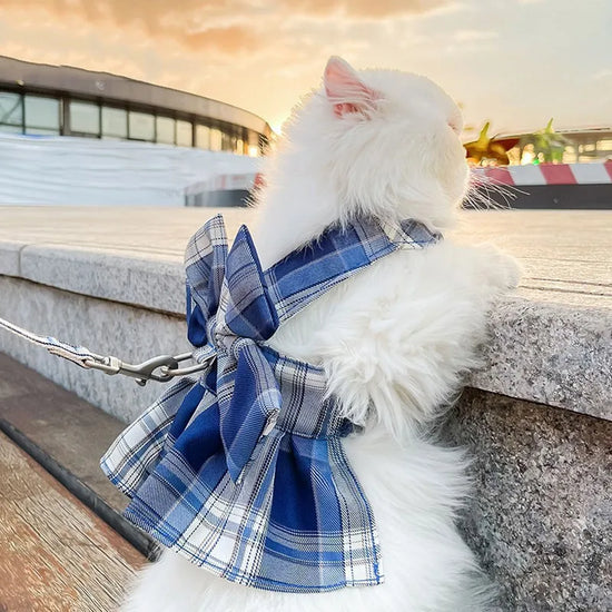 Bow Puppy Cat Dresses