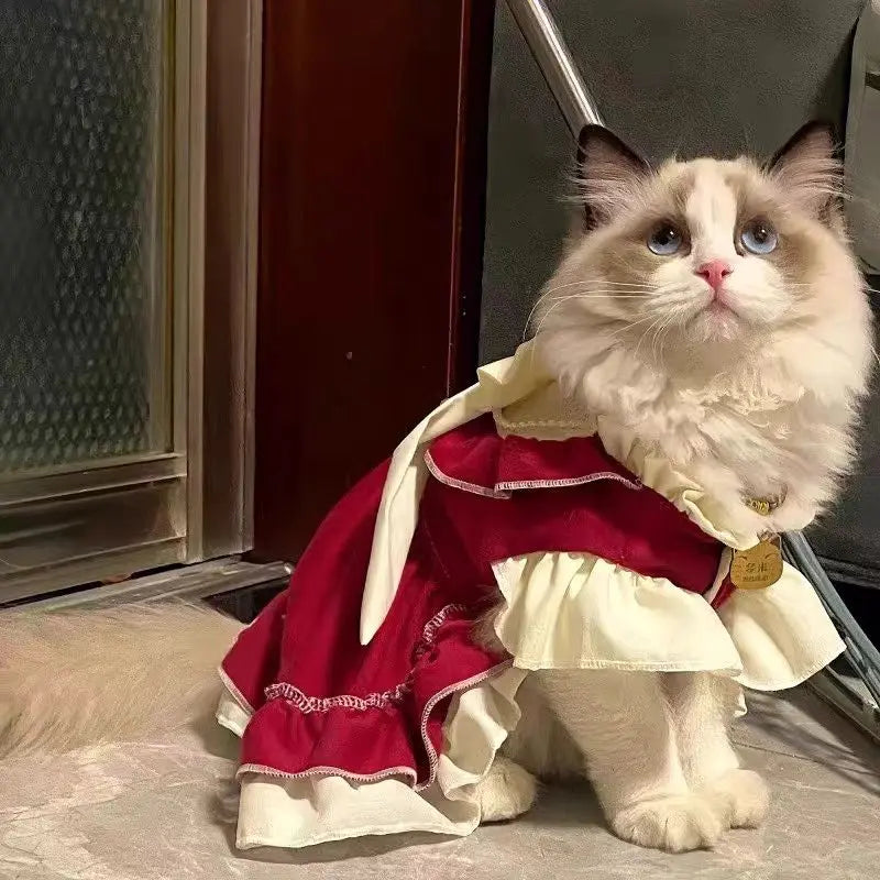 Cat Skirt & Bow Princess Skirt