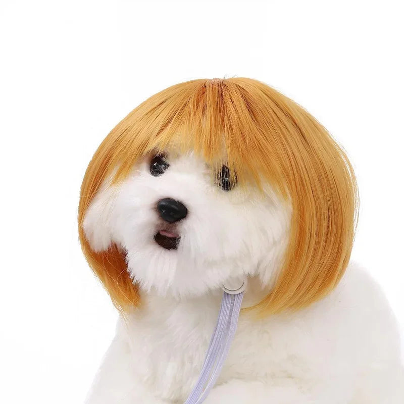 Pet Wig Dog And Cat