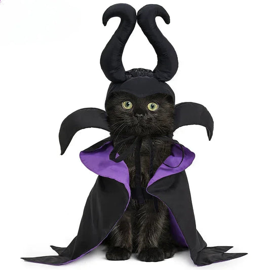 Halloween Witch-Shaped Costume