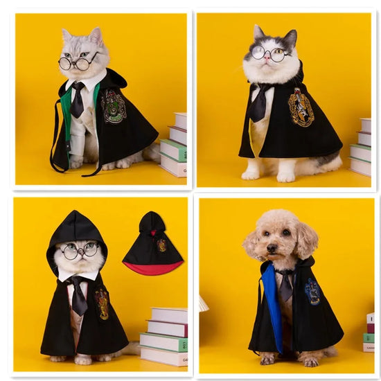 Halloween Dog Costume