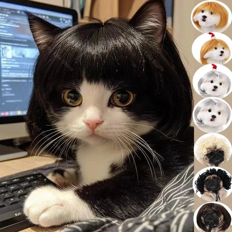 Pet Wig Dog And Cat