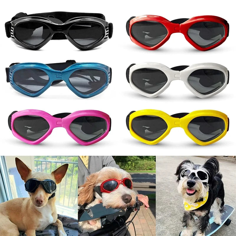 Foldable Pet Glasses