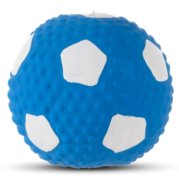 Squeaky Dog Toys