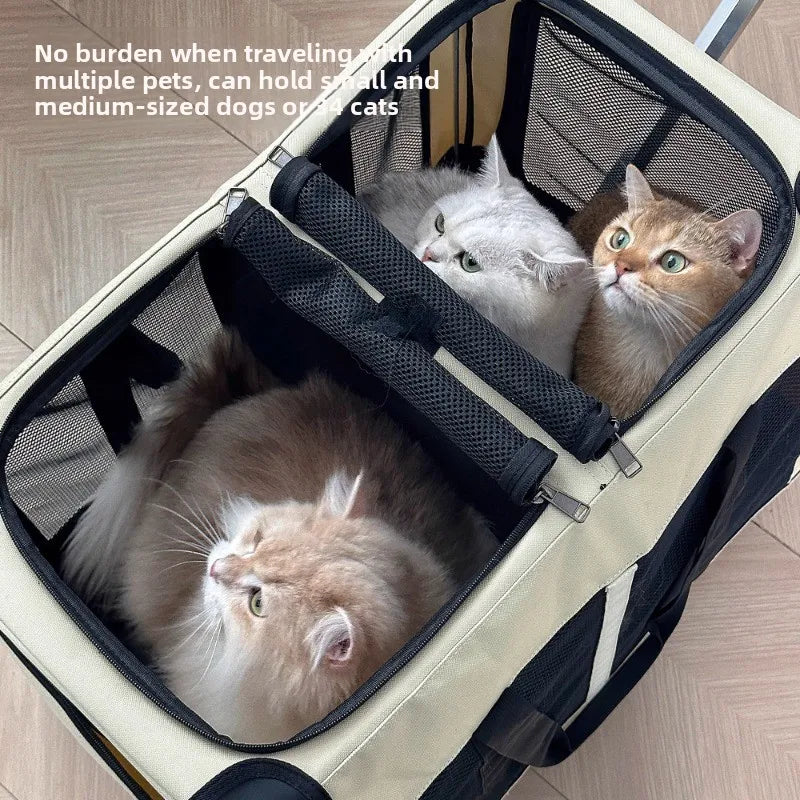 Two Compartments Cat Carrier