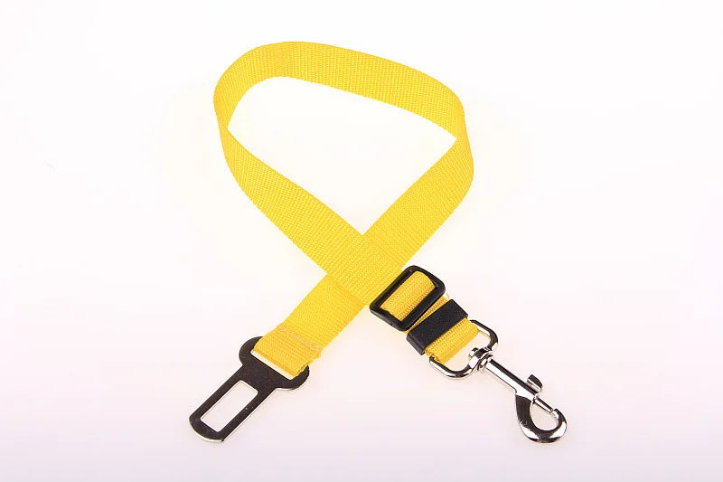 Car Seat Belt Buckle