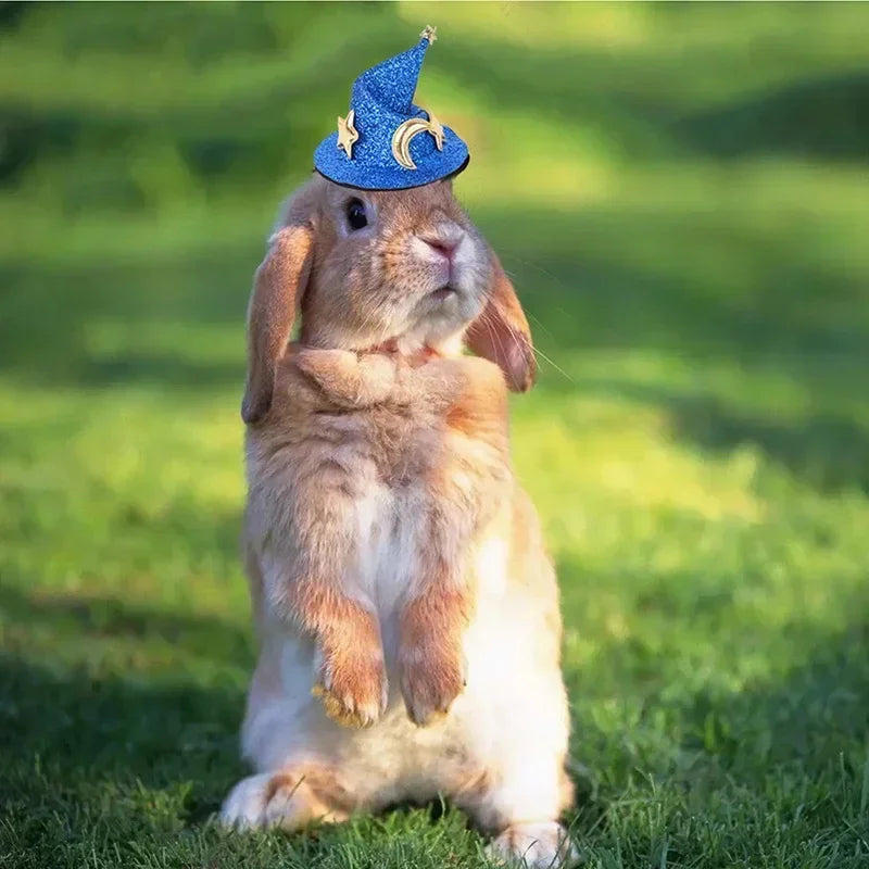 Mini Witch Hat for Small Animals