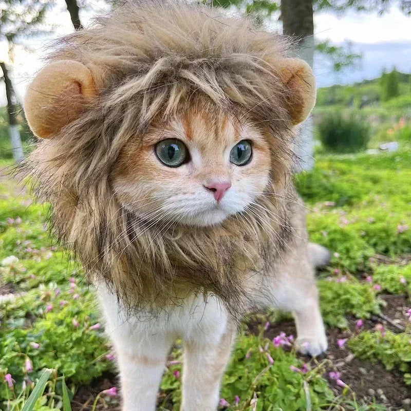 Cat Cosplay Dress Up Pet Hat Lion Mane