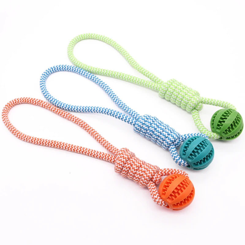Pet Tooth Cleaning Ball Toy