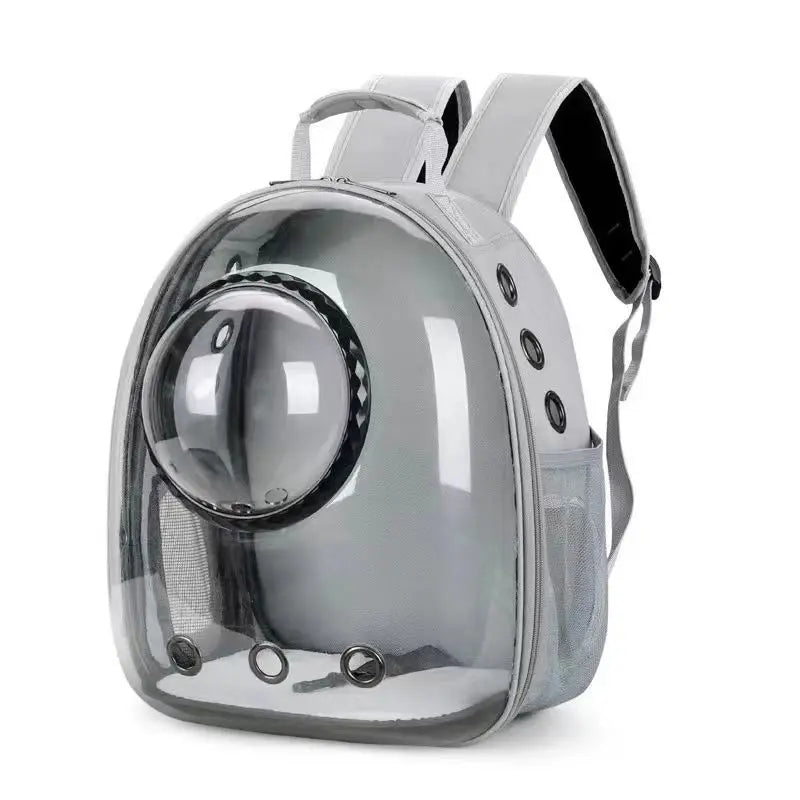 Transparent Cat Backpack
